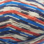 West Yorkshire Spinners Signature Country Birds 4 Ply 100g