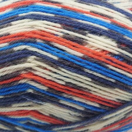West Yorkshire Spinners Signature Country Birds 4 Ply 100g - Image 3
