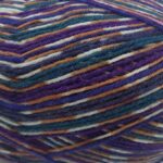 West Yorkshire Spinners Signature Country Birds 4 Ply 100g