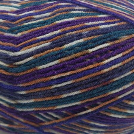 West Yorkshire Spinners Signature Country Birds 4 Ply 100g - Image 5