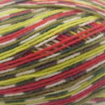 West Yorkshire Spinners Signature Country Birds 4 Ply 100g