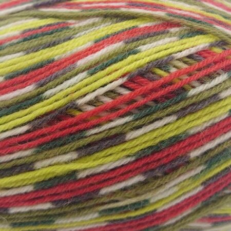 West Yorkshire Spinners Signature Country Birds 4 Ply 100g - Image 9
