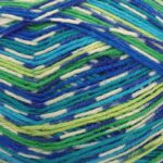 West Yorkshire Spinners Signature Country Birds 4 Ply 100g