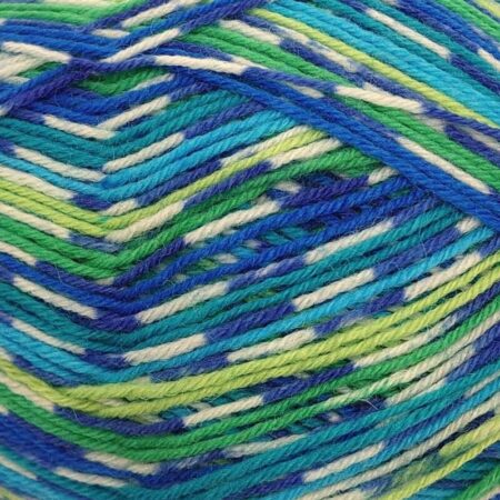 West Yorkshire Spinners Signature Country Birds 4 Ply 100g - Image 11