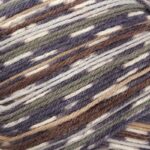 West Yorkshire Spinners Signature Country Birds 4 Ply 100g