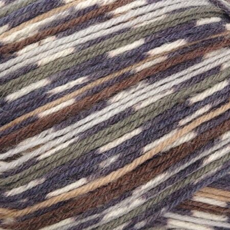 West Yorkshire Spinners Signature Country Birds 4 Ply 100g - Image 12
