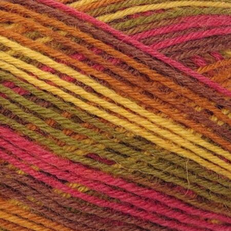 West Yorkshire Spinners Signature 4 Ply 100g - Image 11