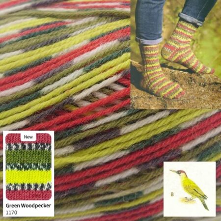 West Yorkshire Spinners Signature Country Birds 4 Ply 100g - Image 8
