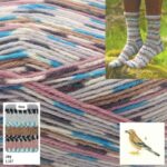 West Yorkshire Spinners Signature Country Birds 4 Ply 100g