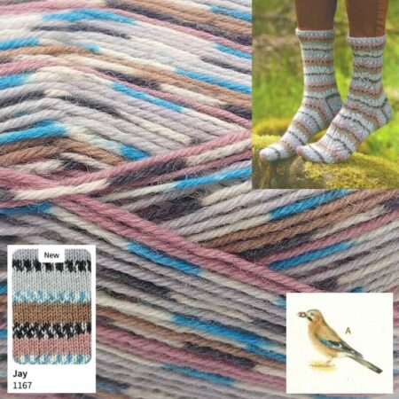 West Yorkshire Spinners Signature Country Birds 4 Ply 100g - Image 6