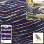 West Yorkshire Spinners Signature Country Birds 4 Ply 100g