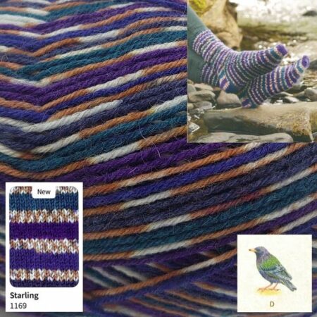 West Yorkshire Spinners Signature Country Birds 4 Ply 100g - Image 4