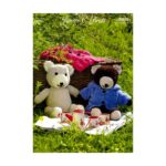 James C Brett Teddy Pattern JB809