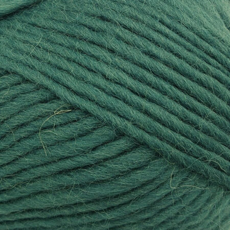 West Yorkshire Spinners Re:Treat Chunky Roving 100g - Image 9