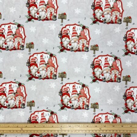 Driving Gnome - Image 3