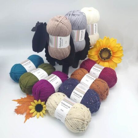 West Yorkshire Spinners ColourLab Aran 100g