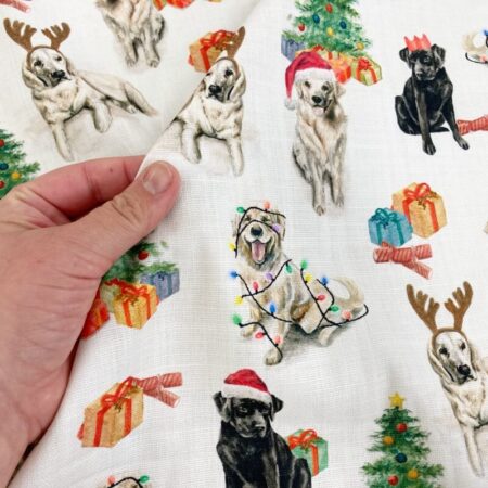 Festive Labrador Panama