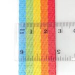 Rainbow Webbings