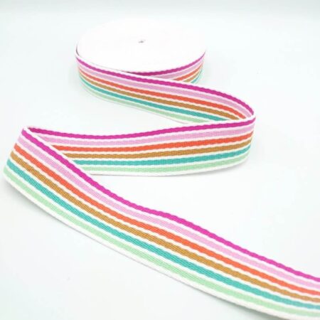 Bright Rainbow 38mm Webbing