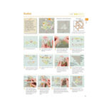 210 Traditional Quilt Blocks