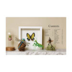 Crocheted Bees, Bugs & Butterflies