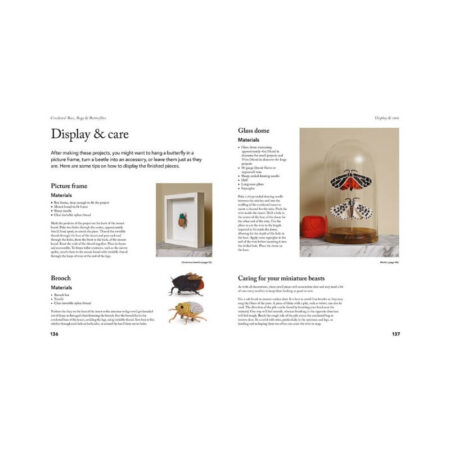 Crocheted Bees, Bugs & Butterflies - Image 2