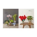 Crocheted Houseplants