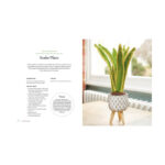 Crocheted Houseplants