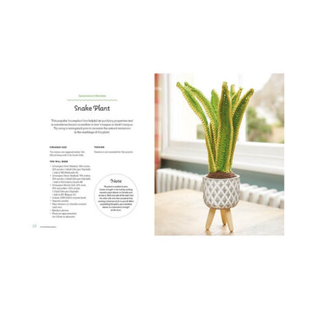 Crocheted Houseplants - Image 6