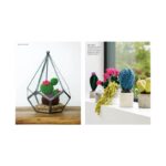 Crocheted Succulents