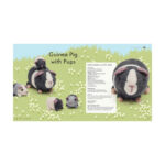Knitted Menagerie