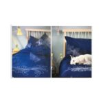 Sashiko