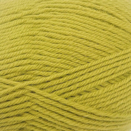 West Yorkshire Spinners ColourLab DK 100g - Image 13