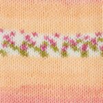 Hayfield Baby Blossom Chunky 100g