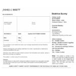 James C Brett Flutterby Beatrice Bunny Pattern JB932