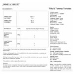 James C Brett Flutterby Tilly & Tommy Tortoise Pattern JB935