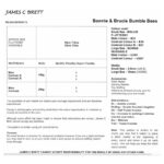James C Brett Flutterby Bonnie & Brucie Bumble Bees Pattern JB936