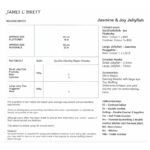 James C Brett Flutterby Jasmine & Joy Jellyfish Pattern JB938