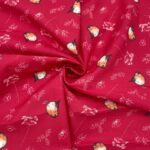 Little Red Robin Christmas