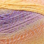 Stylecraft Chromatic DK 100g