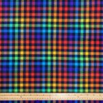 Rainbow Check Needle Cord
