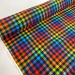 Rainbow Check Needle Cord