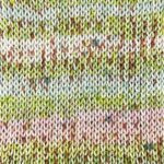 Stylecraft Colour Burst DK 100g