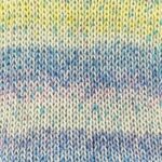 Stylecraft Colour Burst DK 100g