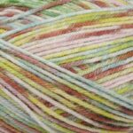 Stylecraft Colour Burst DK 100g