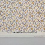 Indian Summer by Stuart Hillard