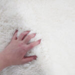 Polar Bear Fur