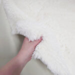 Polar Bear Fur