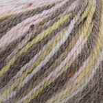 Homespun Prism Aran 50g