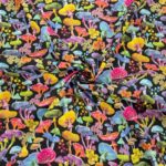 Luminous Fungi Quilting Cotton